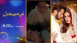 Tauba - Episode 29 - 15th November 2024